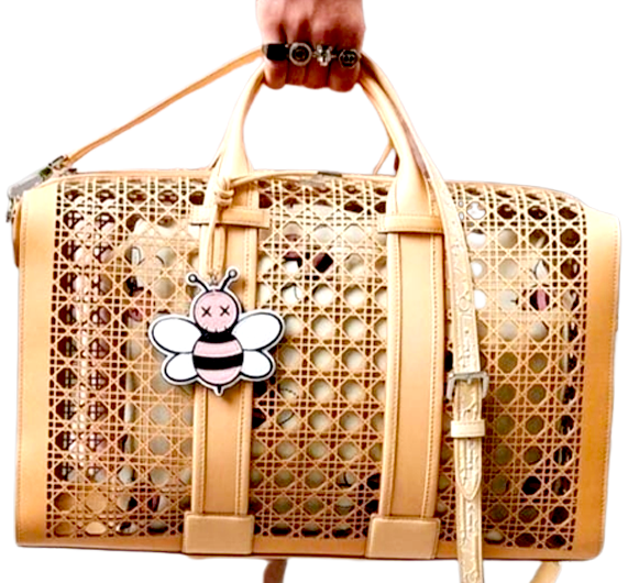 Cane Ladies Bag